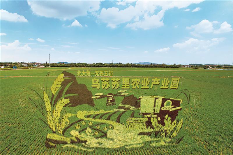 稻田畫緩出鄉村振興新圖景